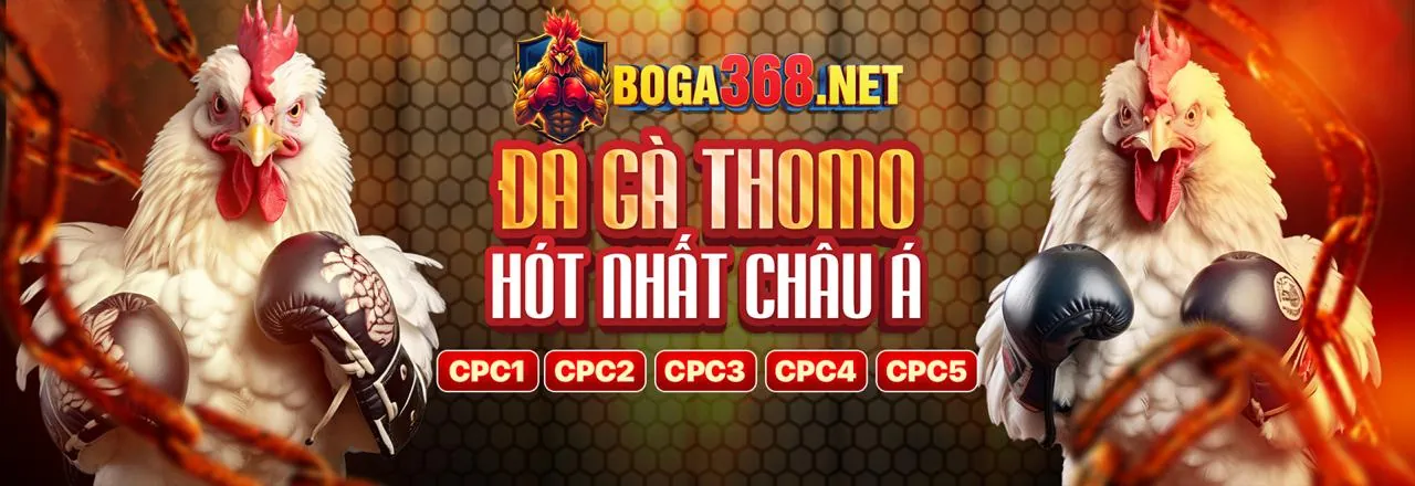 Hướng dẫn cá cược đá gà tại 88nn link vào